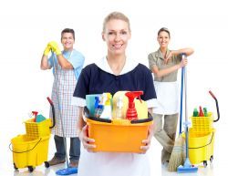 St Johns Wood House Cleaning
